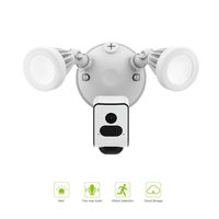 Freecam Floodlight Camera Two Way Audio Motion-Activated HD Security WiFi Camera with Colorful Night Vision and Support Cloud Storage,16GB SD Card Included,L800E White