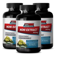 Anti-Aging Supplement - NONI Extract 500MG - Brain and Memory Support - 3 Bottles (180 Capsules)