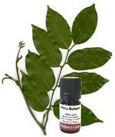 Peru Balsam (resin) 5ml