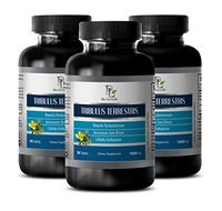 Testosterone Boost - Pure Tribulus Terrestris Extract 1000mg 45% Saponins - Tribulus terrestris Root - 3 Bottles 270 Tablets
