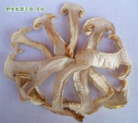 Dried matsutake slices 735 gram