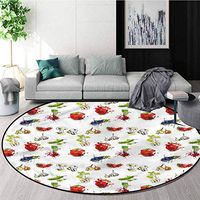 RUGSMAT Vegetables Modern Flannel Microfiber Non-Slip Machine Round Area Rug,Paintbrush Fresh Food Learning Carpet Non Skid Nursery Kids Area Rug for Playroom Diameter-47
