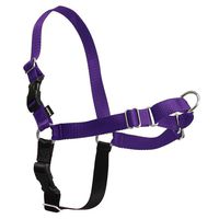 PetSafe Easy Walk Harness,  Medium/Large, Deep Purple & Black for Dogs