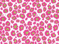 10ct Hot Pink Lime Leopard Animal Print Tissue Paper for Gift Wrapping 20"x30" Sheets nfLG -908