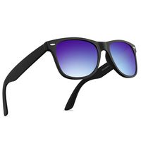 Polarized Sunglasses for Men Retro - FEIDU Polarized Retro Sunglasses for Men FD2149 (Navy Blue)