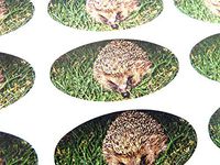 Minilabel Pack Of 48 Hedgehog Seals , 40X20mm Oval Seal Labels, Stickers For Gift Wrapping, Presents, Envelopes, Bags Or Cards