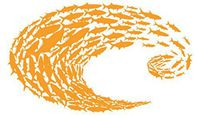 Costa C Schoolin Decal Orange