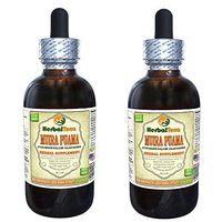 Muira Puama (Ptychopetalum Olacoides) Tincture, Organic Liquid Extract (Brand Name: HerbalTerra, Proudly Made in USA) 2x2 fl.oz (2x60 ml)