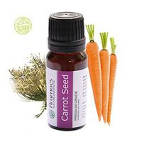 Carrot Seed Essential Oil - 100% Therapeutic Grade Oil 10 ML