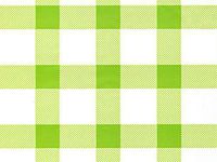 All Occasion Cello Gift Wrap - 30" x 100' - Spring Green Gingham