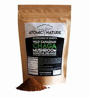 4oz Raw Organic Wild Chaga Mushroom Tea Ground Fine Powder – 100% Natural Hand-Harvested Canadian Forest Chaga Superfood, Healthy Immune System Booster & Antioxidant
