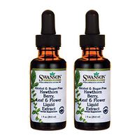 Swanson Hawthorn Berry Leaf & Flower Liquid Extract (Alcohol-Free) 1 fl Ounce (29.6 ml) Liquid (2 Pack)