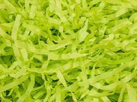 4oz Bag Citrus Green Gift Basket Shred Shredded Tissue Paper Filler Display Bedding nfLG -27