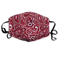 NiYoung Unisex Breathable Reusable Paisley Bandana Red Mouth Cover, Adjustable Earloop Safety Anti Dust Half Face Cover for Running Cycling Travel Skiing