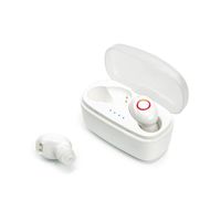 True Wireless Earbuds TWS Bluetooth 5.0 Earphones Headset HD Stereo Sound Headphones Waterproof IP55 with Portable 700mAh Charging Case, Built-in Mic for Hands Free Calls (White)