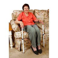 Mobility Transfer System (a) Safetysure Standease