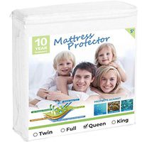 CHERIFER Forte Syrup with Taurine & Double Chlorella Growth Factor 240ml