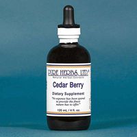 Cedar Berries - 4 OZ (Natural Herbal Extracts)