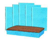 Grease Beast Kitchen Cleaning Sponges. 6Pack. NO Odor Guarantee. Powerful Eco Kitchen/Household/Dish Sponges w/Walnut Scrubbers. 40x more durable.