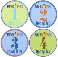 Mumsy Goose Twin Baby Boy Stickers Monthly Age Stickers 1-12 Months
