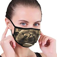 YOFFYO Soft Mouth Cover Earloop Anti-Dust Half Face Mouth Cover for Dust Outdoor, Women Men Kids - Healthy (Funny Sloth Mouth Cover)