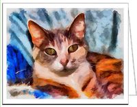Cat Smidget - Notecards- Set of 6 with Envelopes by Doggylips