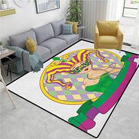 Mardi Gras southwest Area Rug for Living Room, Harlequin Lady Cartoon Style Circular Frame Checkered Pattern Ribbons, Fashionable High Class Living Dinning Room(2.5'x 9') Purple Yellow Green