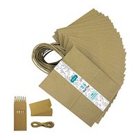 Becko Brown Kraft Paper Bags, Shopping, Merchandise, Party, Gift Bags - 24 Count - 8”x5”x10.5”