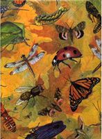 Busy Bugs Insect Tissue Wrapping Paper-20 Large Sheets