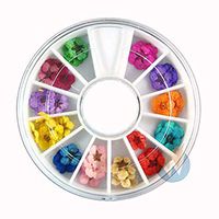 Meidexian888 Nail Art Accessories Real Dry Dried Flowers 12 Colors Bundle Set in Wheel