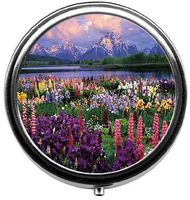 Eareeco - Flowers by The Lake Round Pill Case/Pill Box/Pill Case/Case- Three-Compartment Pill Box/Pill Case