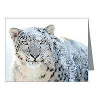 Note Card Snow Leopard HD