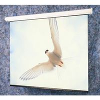 Draper Targa Contemporary motor-in-roller electric screen 116006