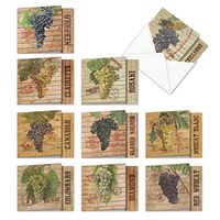 The Best Card Company - 10 Blank Food Note Cards Boxed (4 x 5.12 Inch) - All Occasion Assortment, Bulk Set - Through the Grapevine MQ4603OCB-B1x10