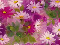 DAISY DANCE Gift Wrap 24"x100'Gift Wrap Cutter Box (1 unit, 1 pack per unit.)