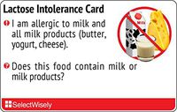 Lactose Intolerance Allergy Translation Card - Translated in Greek or Any of 25 Languages