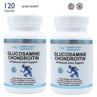 Beaver Brook Glucosamine Chondroitin Joint Support Formula with MSM and Vitamin C Joint Pain Relief, Anti-Inflammatory and Antioxidant Pills, All Natural and Non-GMO - 2 Pack