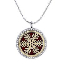 Paw Paw House Aromatherapy Essential Oil Diffuser Necklace Floating Charm Locket Pendant Stainless Steel (5103-4)