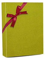 Lime Mod Gift Wrap - 30" X 100' - Roll