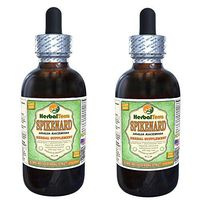 Spikenard (Aralia racemosa) Glycerite, Organic Dried Roots Alcohol-Free Liquid Extract (Brand Name: HerbalTerra, Proudly Made in USA) 2x2 fl.oz (2x60 ml)