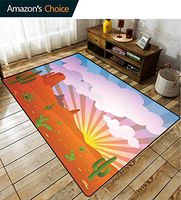 Cactus Plaid Bath Mats Carpet, Abstract Desert Landscape with Mountains and Cactus Arid Country View at Sunset, Durable Rugs - Living, Dinning, Office, Rooms & Bedrrom, Hallway Carpet(2.5'x 9')