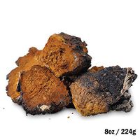 Tealyra - Chaga Chunks - Pure Raw Wild Harvested Canadian Chaga - Mushroom Tea - Superfood - Healthy Immune Booster & Antioxidant - 224g (8-ounce)