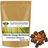 Wild Harvested Organic Siberian Chaga Mushroom Chunks (Inonotus Obliquus) from The Ecologically Clean Shores of Lake Baikal Fresh Harvest Direct from Siberia 1360 gm (3 lb)