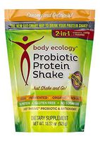 Body Ecology PROBIOTIC Protein Shake Powder (Size 18.52 oz/525 g) Vegan, Fermented, Organic, Non-GMO, Gluten Free, Soy Free, Dairy Free, No Sugar Added (15g Protein per Serving)