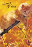 Greeting Thanksgiving Card "Special Wishes"