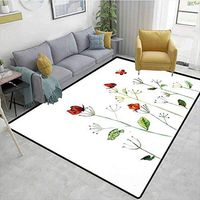 Bigdatastore Butterfly Floral Door Matts Indoors, Wildflower Garden with Butterflies Summertime Joy Happiness Theme Artwork, Fashionable High Class Living Bedroom Rugs(4'x 6')