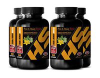 Mood Supplement for Stress Relief & Mood Support - Brain and Memory Booster - Ginkgo biloba Extract Organic - Brain and Memory Power Booster - 4 Bottles 240 Capsules