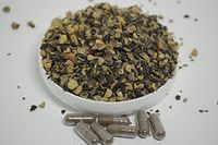 Saw Palmetto Herbal Capsules