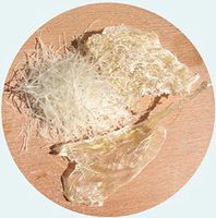 NATURAL,Isinglass Pronunciation: I-zun-glas (7 Grams) Jamaica Drink Below,Drinks