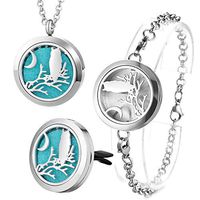 Garden Charms Hollow Out Moon Owl Aromatherapy/Essential Oil Diffuser Locket Magnet with Felt Pads GCVA-052 (A B C)